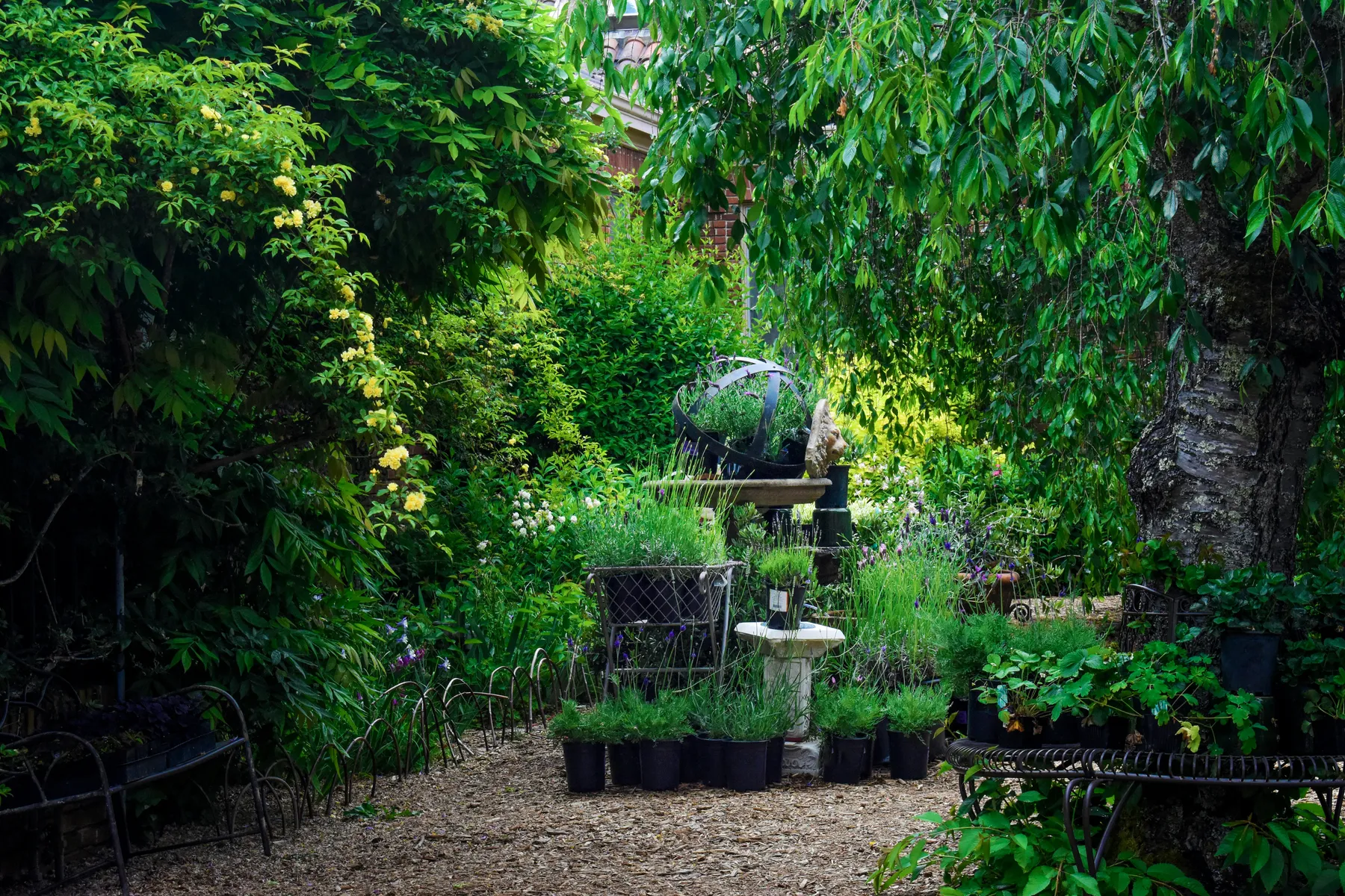 A lush, well-kept garden